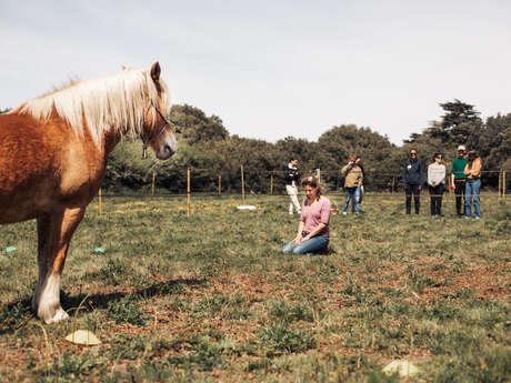Equi-coaching