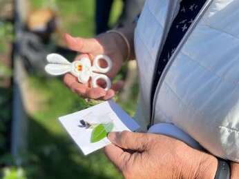 Les Balades des Jardins des Perdrettes