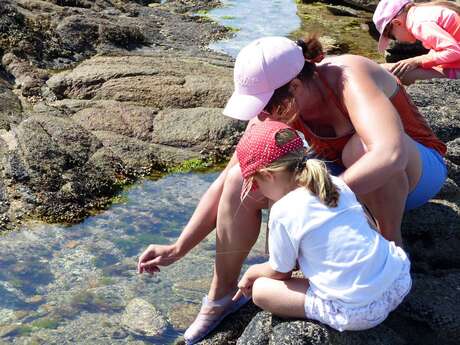 Initiation à la pêche à pied en famille