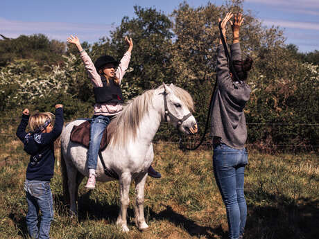 Stage enfant découverte des émotions à travers le monde du cheval