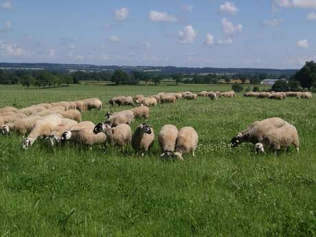 LA FERME AUX 5 CHEMINS