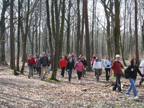 Bois de l'Huisserie