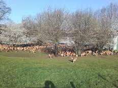 FERME DE LA PÂTURE