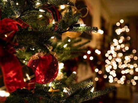 Visites guidées de Noël Visites guidées de Noël