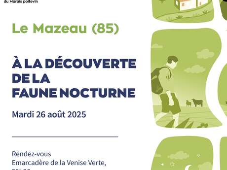 À la découverte de la faune nocturne
