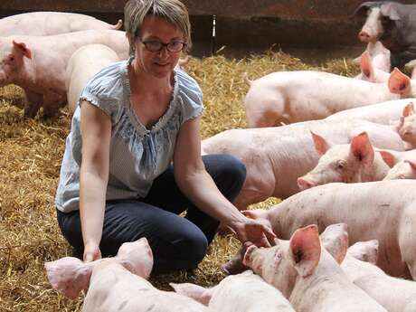 La Ferme Du Père Louis