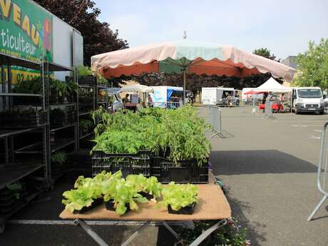 Marché mercredi - Solesmes