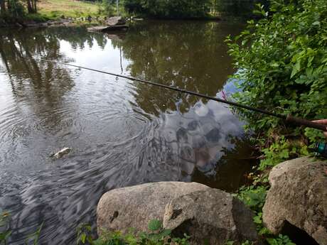 PÊCHE AU LAC DE HAUTE MAYENNE