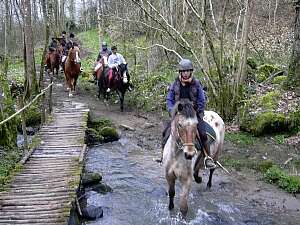 FERME EQUESTRE DE NEUVILLE