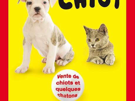 Salon du chiot