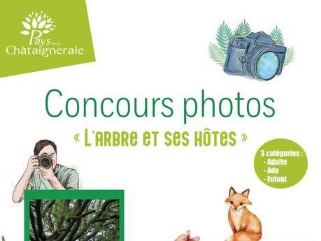 Concours Photos