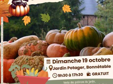 Les potirons fêtent l'automne