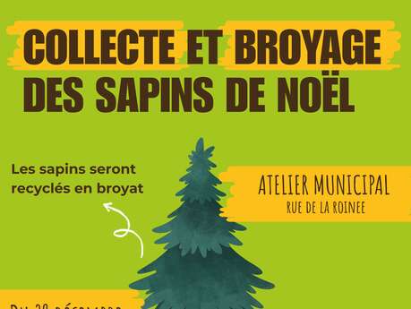 Collecte et broyage sapins de Noël