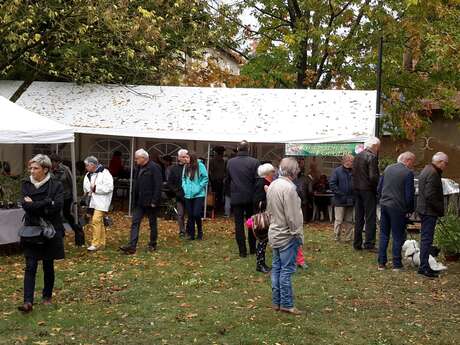 Marché d'Automne et Vide-Greniers à Fougeré