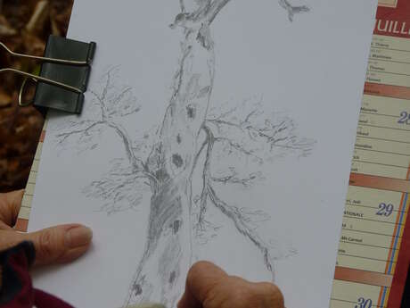 Atelier nature "Dessin forestier"