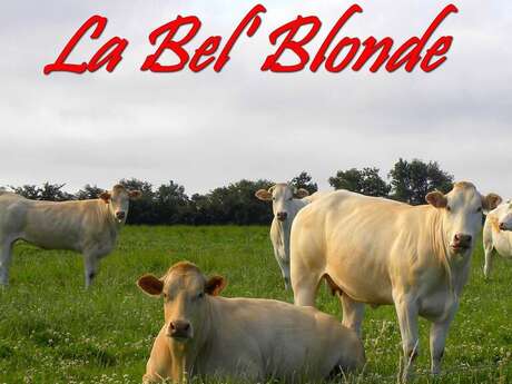 LA BEL'BLONDE