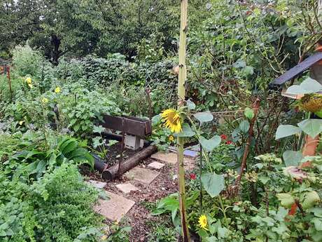 Visite jardin au naturel