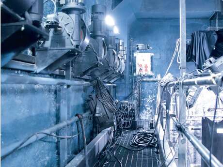 Visite des coulisses du Cargo