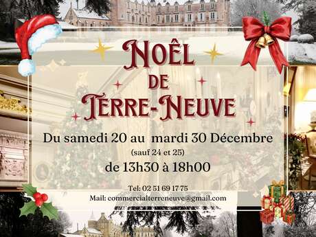 Noël au Château de Terre-Neuve