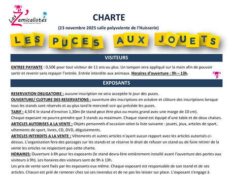 Puces aux jouets