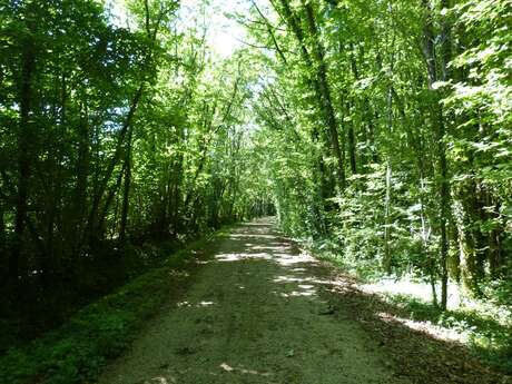 Circuit pédestre Le Chemin de la Mine