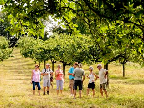 Escape game - Chasse aux Pommes