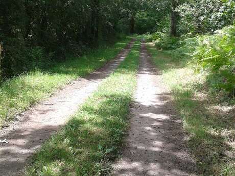 CHEMIN DE LA MAUSSIDÉ CHEMIN DE LA MAUSSIDÉ
