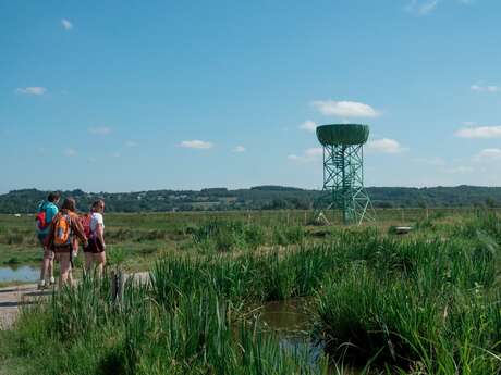 LE NID-OBSERVATOIRE DU MARAIS DU SYL