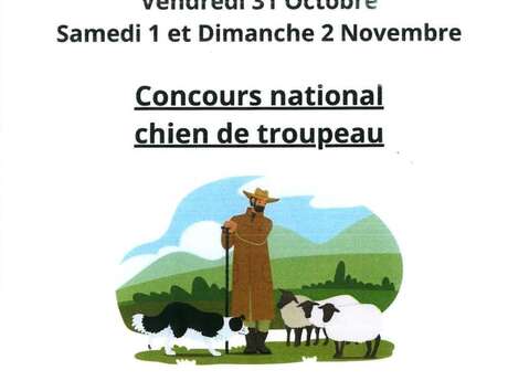 Concours national de chien de troupeau