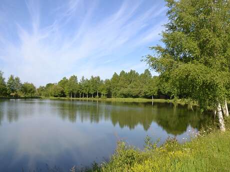 PECHE AU PLAN D'EAU DE CHAMPFREMONT