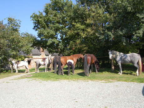 HALTE EQUESTRE LE GRAND CHEMIN