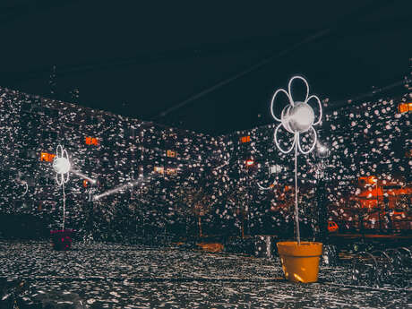 Quartiers en Lumières : la Dacterie