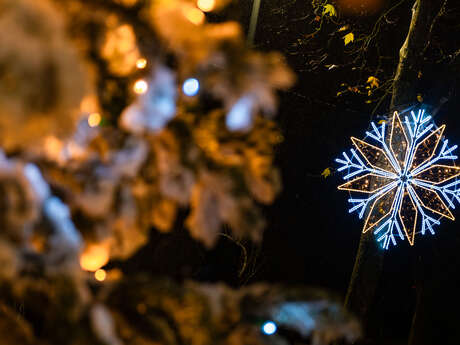 La Dacterie, quartier de Lumières