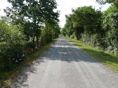 DE SAINT-ANDRE-DES-EAUX A PORNICHET