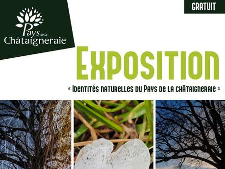 Exposition "Identités naturelles du Pays de la Châtaigneraie