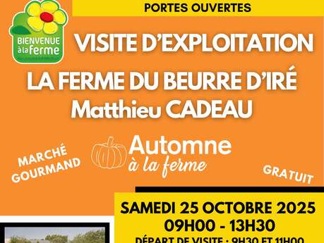 Automne à la ferme du Beurre d'Iré - Le Bourg d'Iré