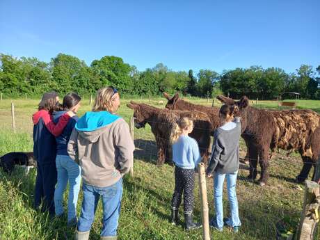 Visite de La Ferme du Marais Poitevin