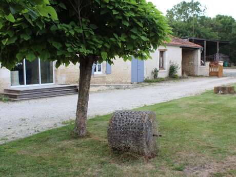 L'ORCHIDÉE DU MARAIS POITEVIN