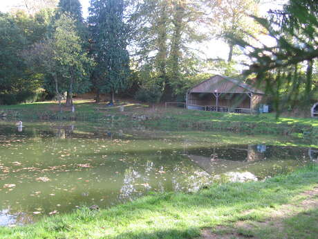 PECHE EN ETANG - COLOMBIERS-DU-PLESSIS