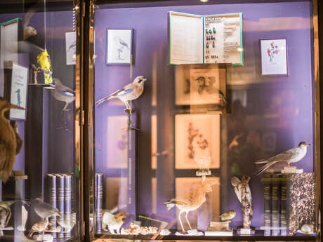 journées du patrimoine - atelier au musée