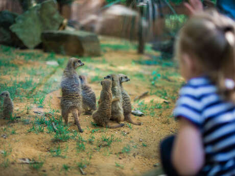 Domaine Zoologique de Pescheray