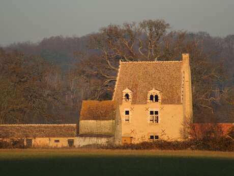JOURNÉES EUROPÉENNES DU PATRIMOINE - MANOIR DE BUIS