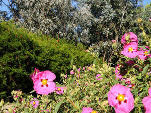 LES JARDINS D'OCÉANIS