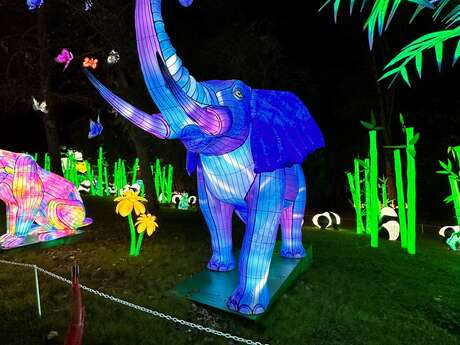 Les animaux fantastiques