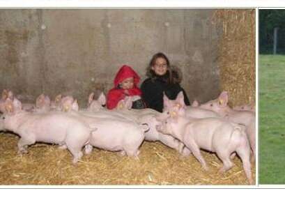 Mercredi du terroir : Visite de la ferme pédagogique "La Cerclerie"