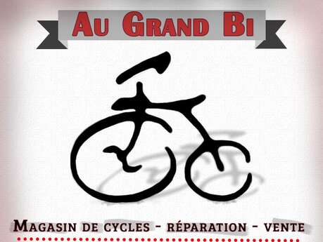 LOCATION DE VELOS - LE GRAND BI