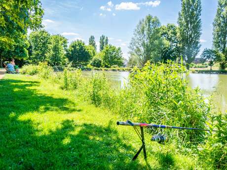 Plan d'eau d'Auvers le Hamon