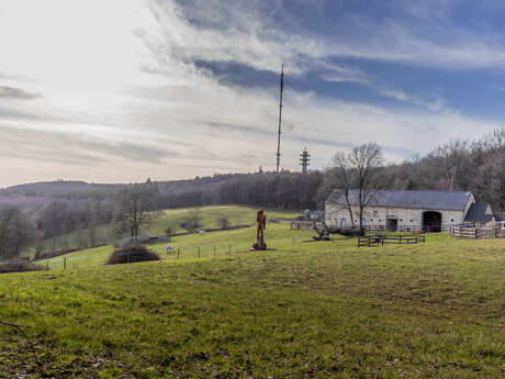 GR365-ETAPE2 - SAINT-PIERRE-SUR-ORTHE - SAINTE GEMMES LE ROBERT