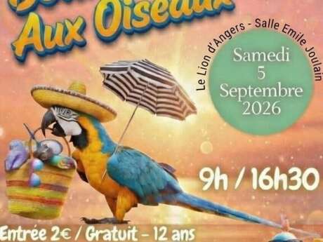 Bourse aux Oiseaux - Vern d'Anjou (Erdre en Anjou)
