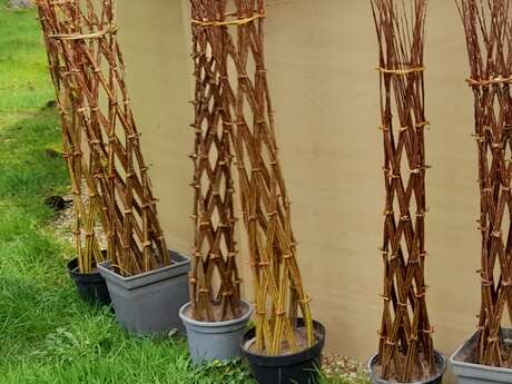 Atelier vannerie "Tresser un arbre en osier" par Laurence Haton